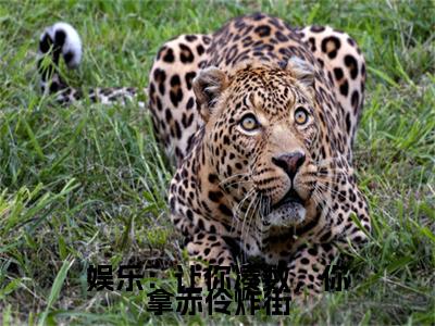 林逸（娱乐：让你凑数，你拿赤伶炸街）全文免费阅读无弹窗大结局_娱乐：让你凑数，你拿赤伶炸街全文免费阅读_笔趣阁