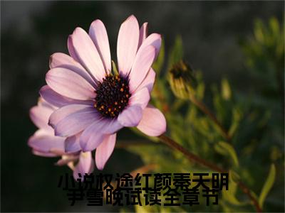 权途红颜秦天明尹雪晚试读全章节（ 秦天明尹雪晚）全文免费阅读无弹窗大结局_(权途红颜秦天明尹雪晚试读全章节) 秦天明尹雪晚免费阅读无弹窗最新章节列表_笔趣阁（ 秦天明尹雪晚）