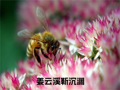 (热推新书)（姜云溪靳沉渊）全文免费阅读无弹窗大结局-姜云溪靳沉渊全文阅读无弹窗
