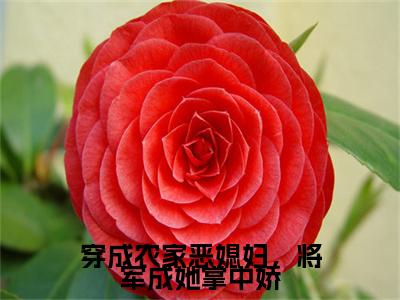 穿成农家恶媳妇，将军成她掌中娇小说全文-方晴柔无弹窗免费阅读