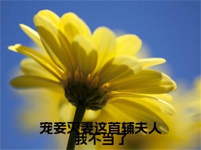 宠妾灭妻这首辅夫人我不当了(夏瑶云奕霄)全文免费阅读大结局-夏瑶云奕霄最新章节列表免费阅读大结局