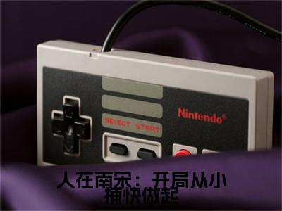 人在南宋：开局从小捕快做起（沈墨陆云鬟）免费小说-主角沈墨陆云鬟全文在线完本阅读笔趣阁