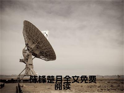  陈锋楚月（每分钟涨1斤力量，我一拳爆星！）完整全文在线阅读_每分钟涨1斤力量，我一拳爆星！小说全章节目录阅读（ 陈锋楚月）