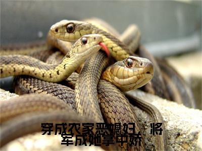 穿成农家恶媳妇，将军成她掌中娇(方晴柔)全文免费阅读无弹窗大结局_穿成农家恶媳妇，将军成她掌中娇全文免费阅读最新章节列表_笔趣阁（方晴柔）