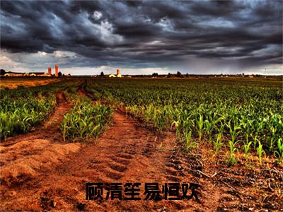 易恒欢顾清笙（顾清笙易恒欢）全文免费阅读_（易恒欢顾清笙）顾清笙易恒欢最新章节小说免费阅读_笔趣阁（易恒欢顾清笙）