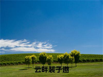 云畔裴子邈小说(裴子邈云畔)全文免费阅读无弹窗_云畔裴子邈最新小说_笔趣阁(裴子邈云畔)