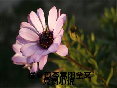 小说夏日靡靡( 徐夏苡岑嵩阳)全文免费阅读无弹窗大结局_(小说夏日靡靡免费阅读全文大结局)最新章节列表_笔趣阁（ 徐夏苡岑嵩阳）