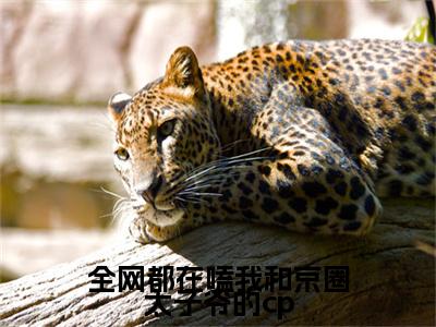 江时宸温星姌全网都在嗑我和京圈太子爷的cp完结小说-全网都在嗑我和京圈太子爷的cp全文免费阅读无弹窗