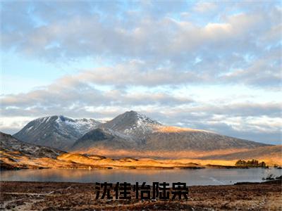 沈佳怡陆枭(陆枭沈佳怡)全文小说在线阅读-沈佳怡陆枭全章节最新阅读