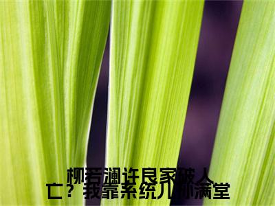 家破人亡？我靠系统儿孙满堂（ 柳若澜许良）免费阅读_ 柳若澜许良小说免费阅读-笔趣阁