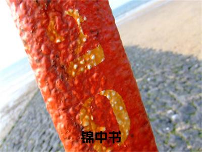  沈余吟梁承琰（锦中书）免费小说-（锦中书）完结版在线阅读