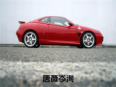 唐薇岑洵全本资源（岑洵唐薇）全文免费阅读无弹窗大结局_岑洵唐薇最新章节列表（唐薇岑洵）