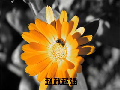 好书推荐小说都市之重生帝主（ 赵政赵强）-都市之重生帝主全文免费阅读大结局