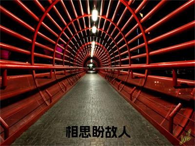 相思盼故人全文免费阅读无弹窗大结局_相思盼故人(明缘沉乾)最新章节列表_笔趣阁