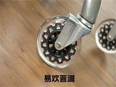  易欢晋渊全文免费大结局 重生：朕要她与渣男和离，入我怀小说在线阅读