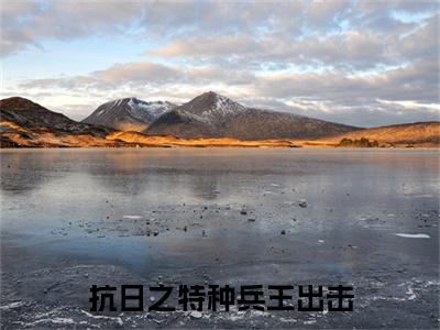  王铁军铁军全文免费（抗日之特种兵王出击）全文免费阅读无弹窗大结局_（ 王铁军铁军全文免费）