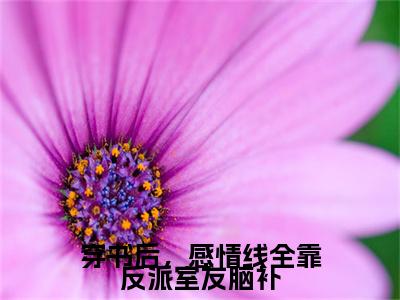 穿书后，感情线全靠反派室友脑补(黎粥顾向昼)全文免费阅读无弹窗大结局_穿书后，感情线全靠反派室友脑补全文免费阅读最新章节列表_笔趣阁（黎粥顾向昼）