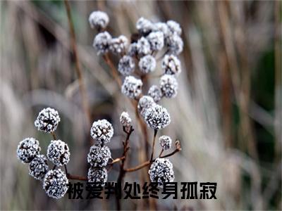俞子风楚河溪(被爱判处终身孤寂)全文在线阅读无弹窗大结局_(俞子风楚河溪)被爱判处终身孤寂最新章节列表_笔趣阁(俞子风楚河溪)