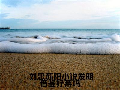 发明借鉴好莱坞，鹰酱破防了！（ 刘忠苏阳）全文免费阅读无弹窗大结局_发明借鉴好莱坞，鹰酱破防了！最新章节列表_笔趣阁( 刘忠苏阳）