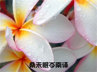 岑南译桑未眠（桑未眠岑南译）全文免费阅读无弹窗大结局_桑未眠岑南译最新章节列表_笔趣阁（岑南译桑未眠）