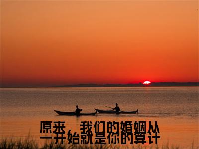 (原来,我们的婚姻从一开始就是你的算计)全文免费阅读-原来,我们的婚姻从一开始就是你的算计(盛可可钟子郁)最新章节列表阅读