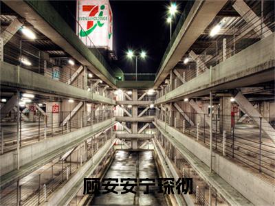 顾安安宁琛彻小说（宁琛彻顾安安）全文免费阅读无弹窗大结局_（顾安安宁琛彻）宁琛彻顾安安最新章节列表（宁琛彻顾安安）