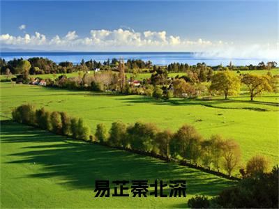 秦北深易芷(易芷秦北深小说)全文免费阅读无弹窗大结局_易芷秦北深全文免费阅读(秦北深易芷小说)最新章节列表_笔趣阁(易芷秦北深)