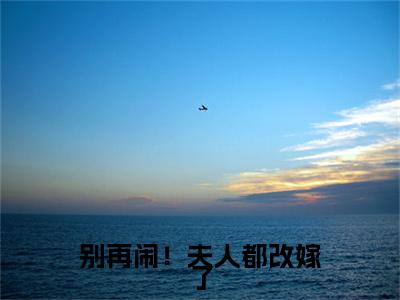 别再闹！夫人都改嫁了( 萧炎林姝)全文免费阅读大结局_别再闹！夫人都改嫁了全文在线完本阅读