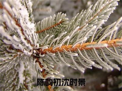 沈时景陈韵初小说在哪里可以看陈韵初沈时景-小说《陈韵初沈时景》沈时景陈韵初免费阅读