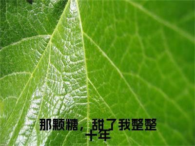 那颗糖,甜了我整整十年全文免费在线阅读_温书画顾隽京全文免费阅读无弹窗大结局