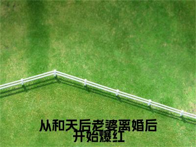 【新书】《张明宇周佳琳》从和天后老婆离婚后开始爆红全文全章节免费阅读