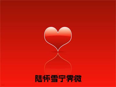 宁霁微陆怀雪小说(陆怀雪宁霁微)全文免费阅读无弹窗大结局_(陆怀雪宁霁微)宁霁微陆怀雪小说最新章节列表_笔趣阁(宁霁微陆怀雪小说)