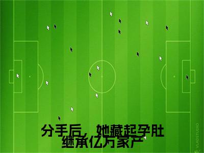 分手后,她藏起孕肚继承亿万家产(叶芷萌厉行渊)全文免费阅读无弹窗大结局_分手后,她藏起孕肚继承亿万家产小说最新章节列表_笔趣阁