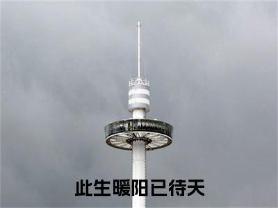 钱暖暖漆晨澜（此生暖阳已待天小说）全文免费阅读无弹窗大结局_(钱暖暖漆晨澜小说)此生暖阳已待天最新章节列表_笔趣阁（钱暖暖漆晨澜）
