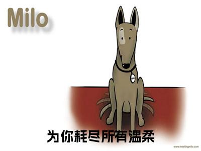 为你耗尽所有温柔全集免费阅读无弹窗_沐堇年姜芷完结小说榜单阅读(沐堇年姜芷小说)