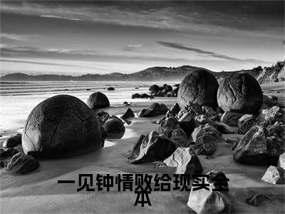 一见钟情败给现实（ 敏敏林夭）全文免费阅读无弹窗大结局_（一见钟情败给现实免费阅读） 敏敏林夭最新章节列表_笔趣阁（ 敏敏林夭）