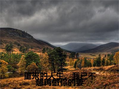 重来的人生，我已不想再做你的妻许晚棠梁祁安完整全文在线阅读 许晚棠梁祁安抖音热推小说全集无删减