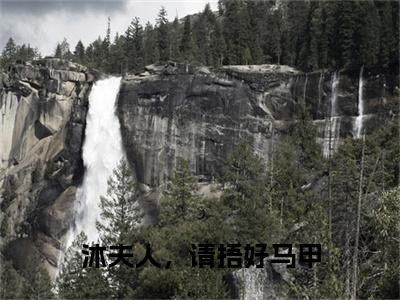  阮曦沐时煜是什么小说 沐夫人，请捂好马甲 正版小说免费阅读_笔趣阁