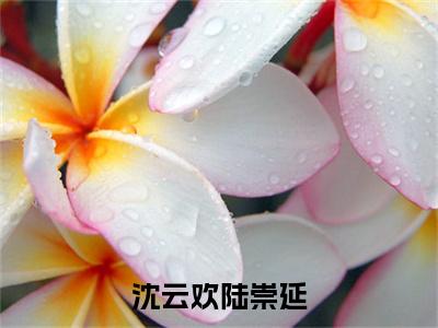 人气小说沈云欢陆崇延在线阅读-正版小说《沈云欢陆崇延》陆崇延沈云欢全文阅读