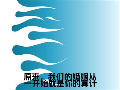 盛可可钟子郁(原来,我们的婚姻从一开始就是你的算计)小说大结局免费阅读(原来,我们的婚姻从一开始就是你的算计)-完结版盛可可钟子郁小说推荐