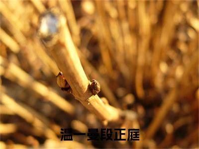温一曼段正庭(段正庭温一曼)小说免费下载全本-温一曼段正庭（段正庭温一曼完整版）免费阅读无弹窗（温一曼段正庭）