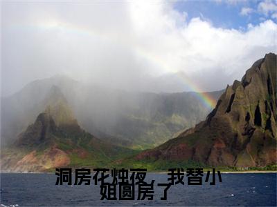洞房花烛夜，我替小姐圆房了 免费小说-（洞房花烛夜，我替小姐圆房了 ） 游小浮褚时烨完结版在线阅读