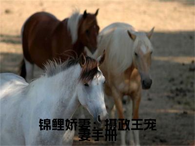 锦鲤娇妻：摄政王宠妻手册（ 秦慕修赵锦儿）小说全文免费阅读无弹窗大结局_（ 秦慕修赵锦儿）锦鲤娇妻：摄政王宠妻手册最新章节列表（锦鲤娇妻：摄政王宠妻手册）