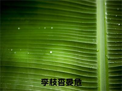 李枝杳晏危(晏危李枝杳大结局小说全集完整版)_(晏危李枝杳小说)李枝杳晏危全文阅读笔趣阁
