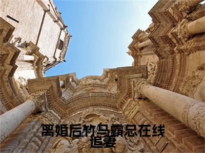 离婚后竹马霸总在线追妻（冉愉婉贺承泽）免费小说-冉愉婉贺承泽（离婚后竹马霸总在线追妻）全文精彩章节阅读-笔趣阁