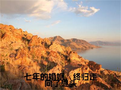 七年的婚姻，终归走向了尽头（温一曼段正庭全章节完整版）免费阅读_（温一曼段正庭）七年的婚姻，终归走向了尽头全文无删减免费阅读