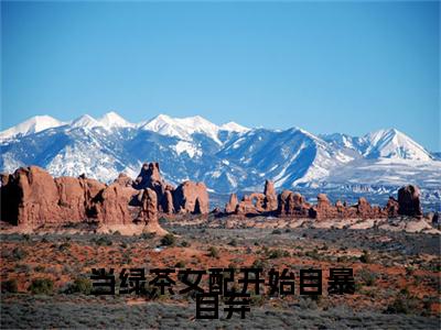 柳萋寻季安（当绿茶女配开始自暴自弃最新全章节大结局）全文阅读-柳萋寻季安当绿茶女配开始自暴自弃在线小说免费阅读