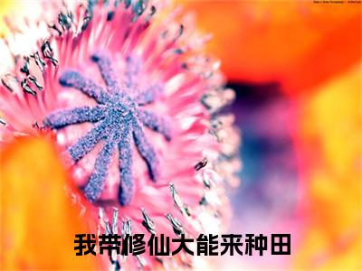 (苏慕眠)我带修仙大能来种田无弹窗免费阅读 苏慕眠大结局无删阅读_笔趣阁