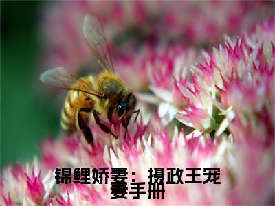 锦鲤娇妻：摄政王宠妻手册大结局全文免费阅读最新章节_ 秦慕修赵锦儿大结局