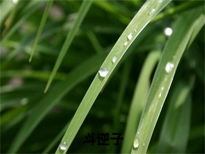  封灵儿齐知文新书斗逆子，盼守寡，王妃每天乐哈哈看全文小说- 封灵儿齐知文小说资源阅读斗逆子，盼守寡，王妃每天乐哈哈